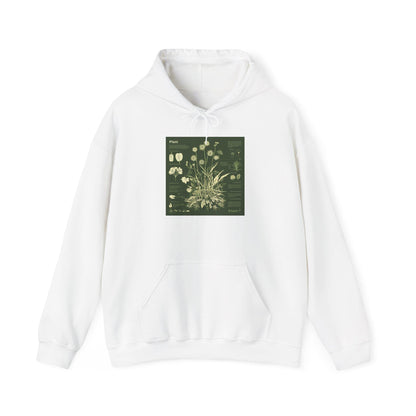 Vintage Botanical Plant Chart Hoodie